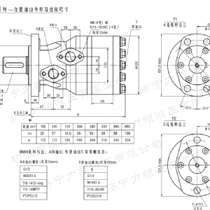 BMH系列交错油口广发官方网站-广发（中国）
马达